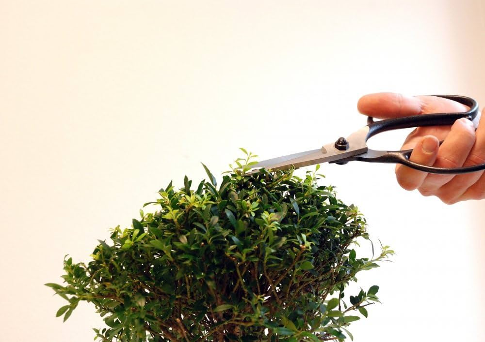 200 岡恒 植木鋏A型 ロング90 BP入 wyw801m Amazon | 200 岡恒 植木鋏A型 ロング90 BP入 ブラック | 園芸用
